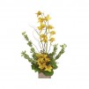 Shelf of orchid